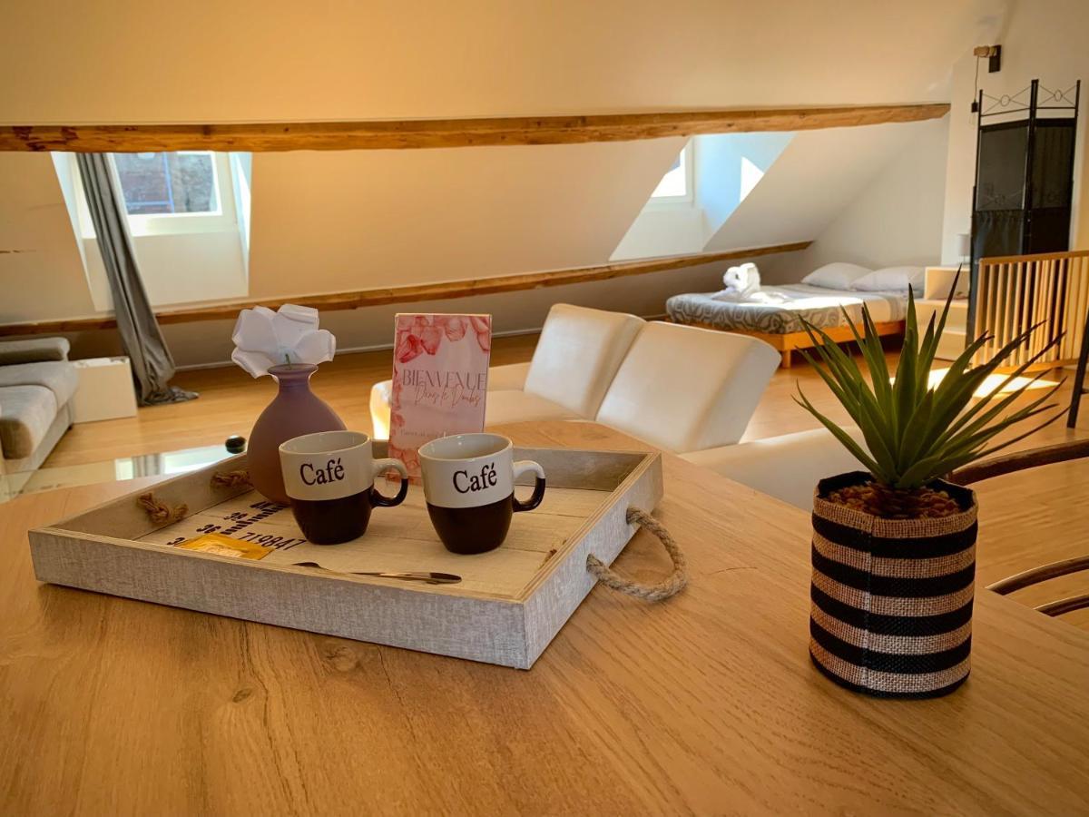 בסאנקון Les Fabuleux Appartements Du Coeur De Ville - Place Victor Hugo מראה חיצוני תמונה