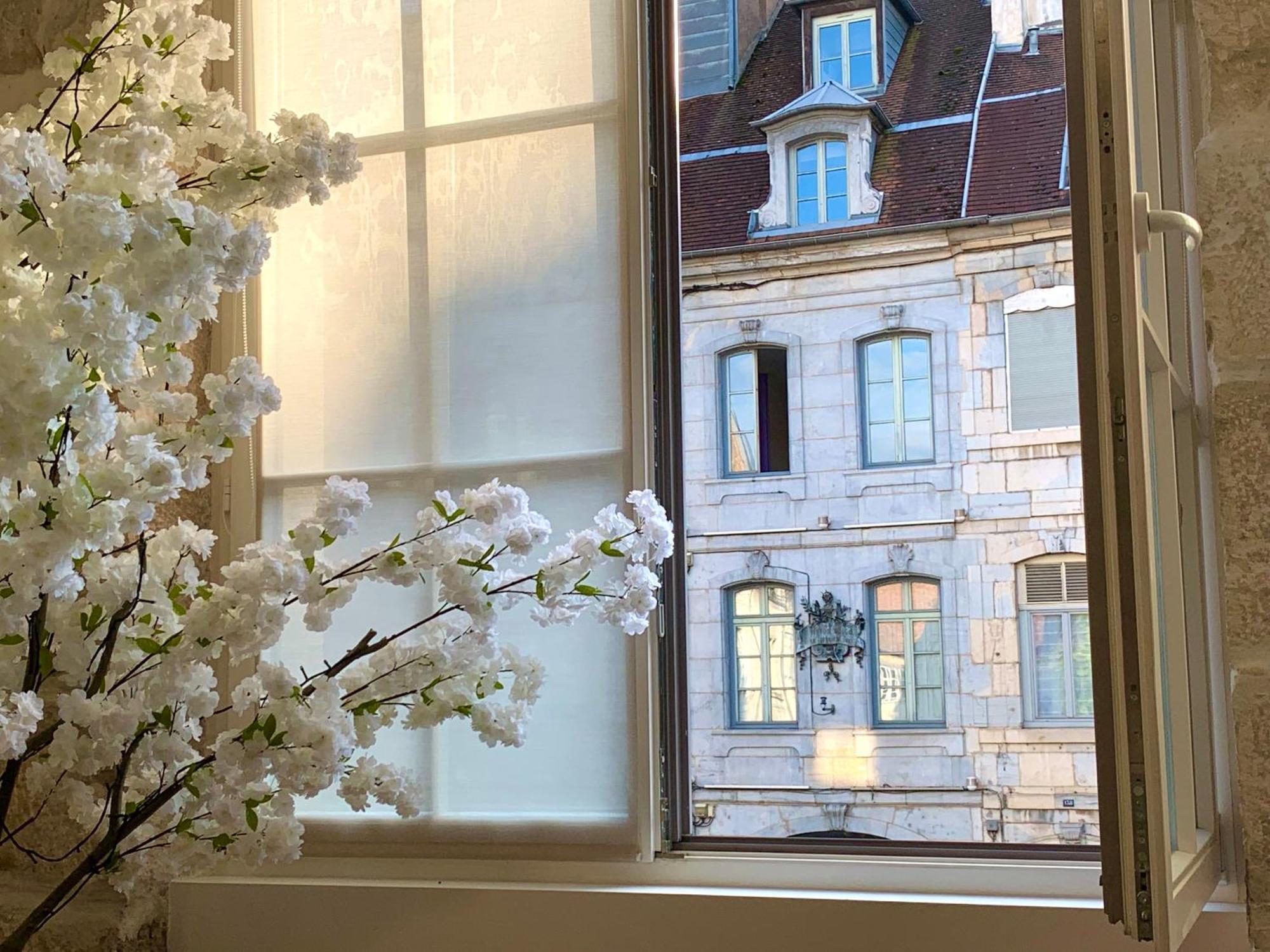 בסאנקון Les Fabuleux Appartements Du Coeur De Ville - Place Victor Hugo מראה חיצוני תמונה